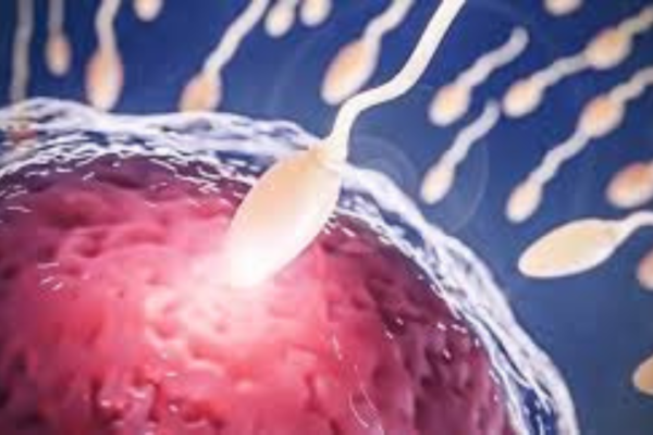 Sperm cramps Lnainews.com