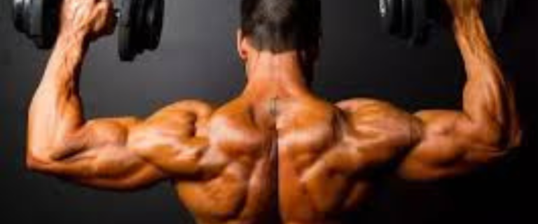 Wellhealth how to build muscle